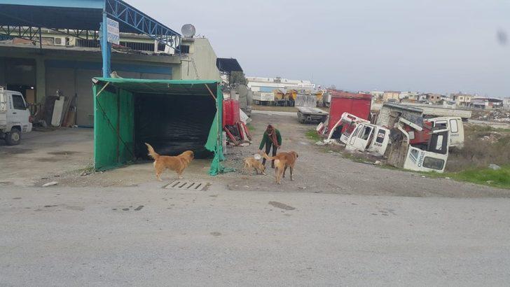 Tarsus Belediyesi, sokağa çıkma yasağında sokak hayvanlarını unutmadı G4