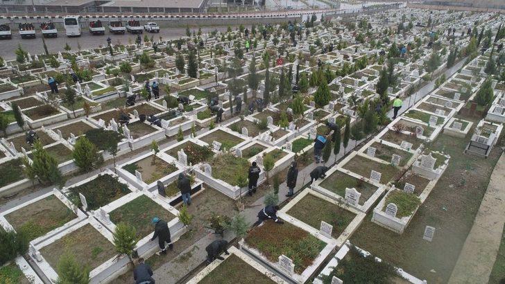 Mezarlıklara 50 bin çiçek dikildi G2