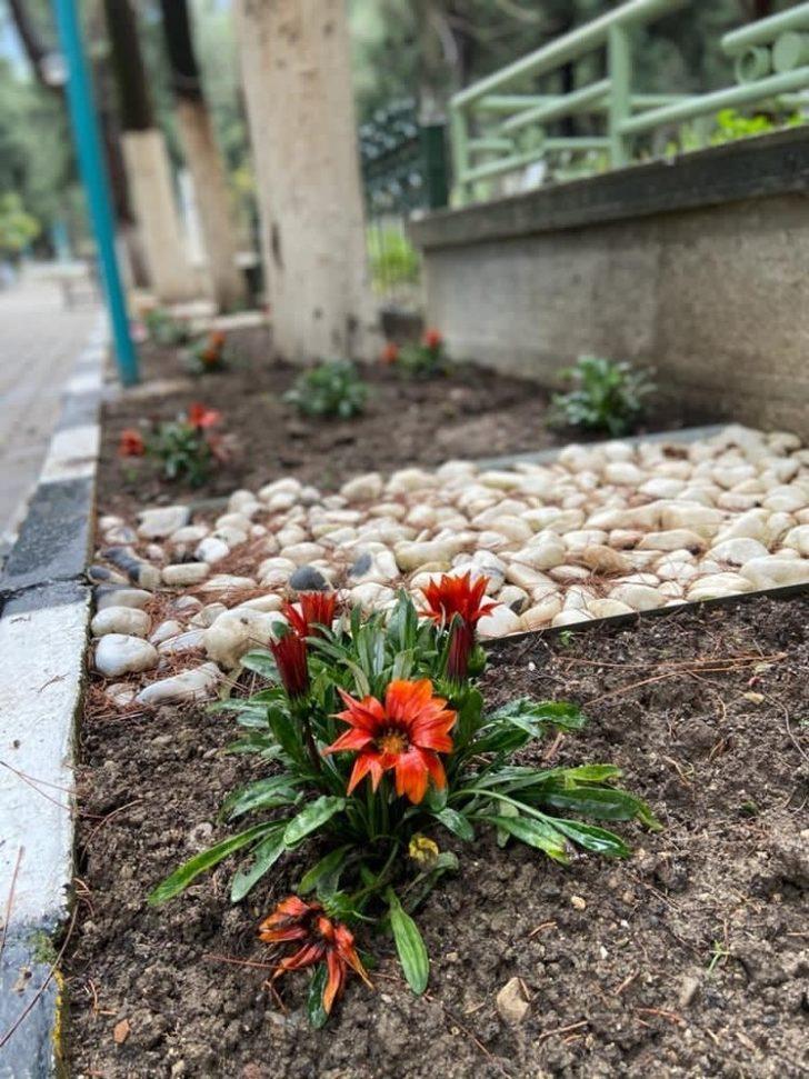 Mezarlıklara 50 bin çiçek dikildi G5