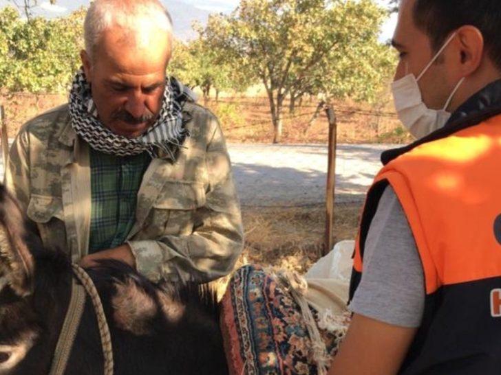 Tek tırnaklı hayvanlar kayıt altına alınıyor G5