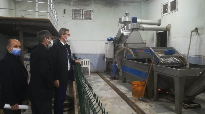 Zeytinyağı Fabrikalarında korona denetimi