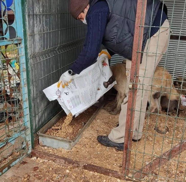 Bucak’ta sokağa çıkma kısıtlamasında sahipsiz kalan sokak hayvanları için her noktaya mama bırakıldı G3