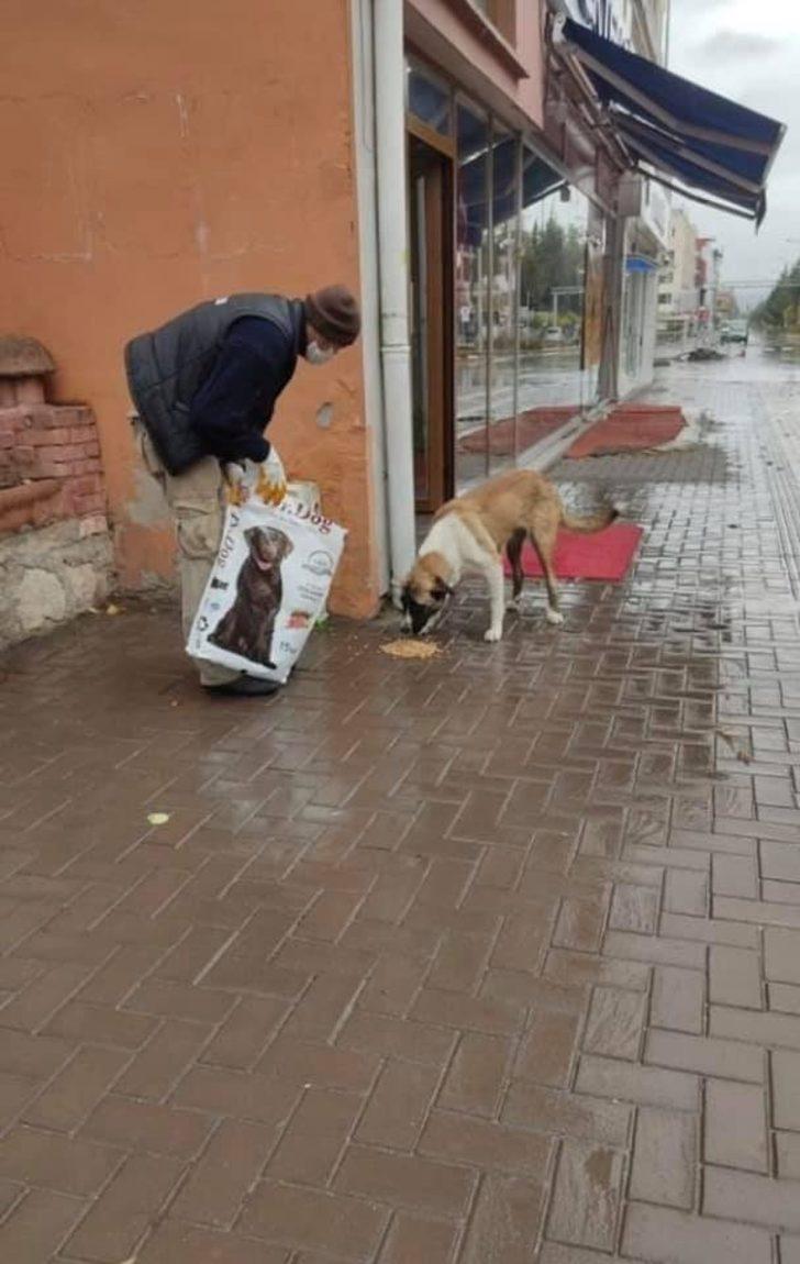 Bucak’ta sokağa çıkma kısıtlamasında sahipsiz kalan sokak hayvanları için her noktaya mama bırakıldı G4