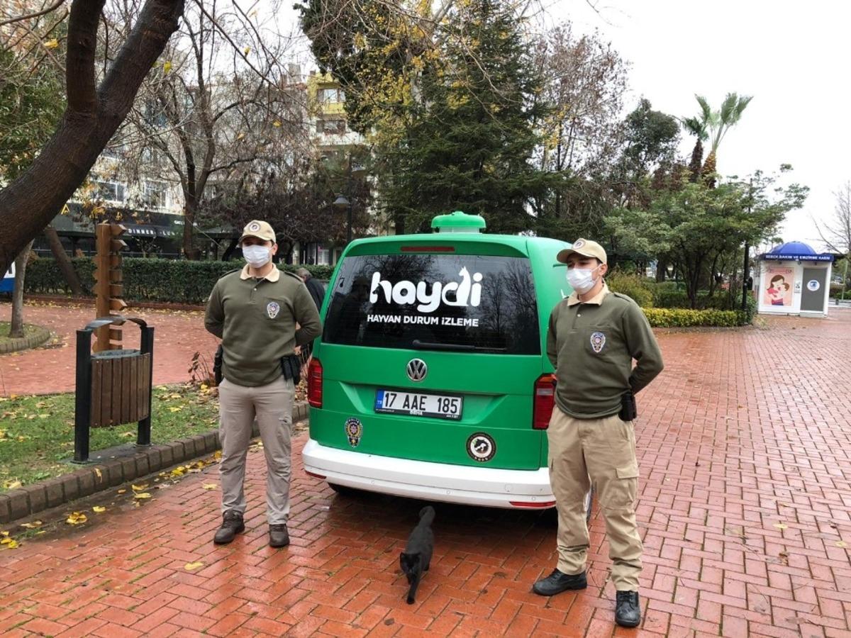 &Ccedil;anakkale&rsquo;de sokak hayvanları polise emanet