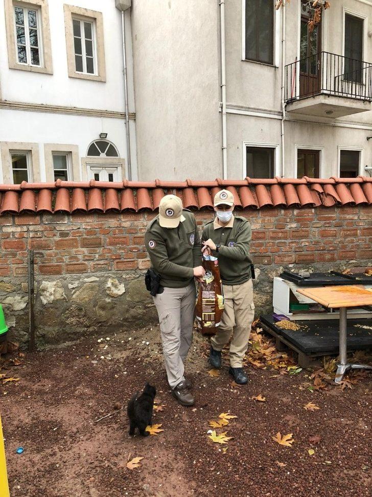 Çanakkale’de sokak hayvanları polise emanet G4