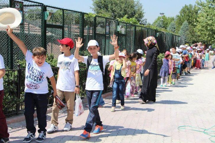 Karatay Belediyesi 2020’de 134 hayvanı sağlığına kavuşturdu G2