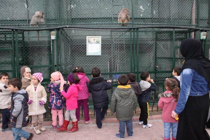 Karatay Belediyesi 2020’de 134 hayvanı sağlığına kavuşturdu G4