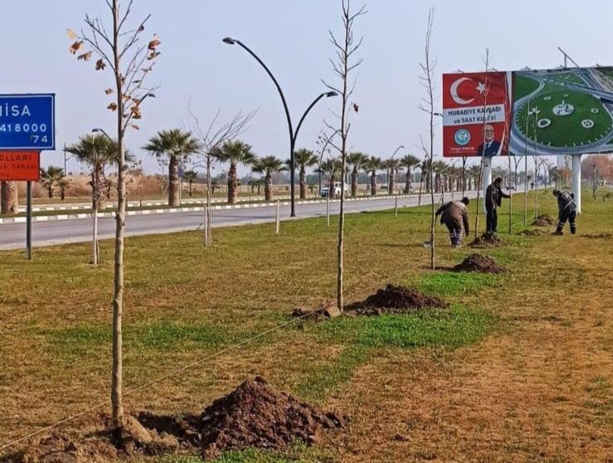 B&uuml;y&uuml;kşehirden ağa&ccedil;landırma seferberliği