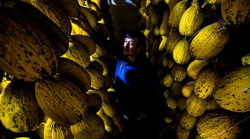 Yazın hasat ediliyor, kışın bile afiyetle yeniyor! Tadı bal gibi