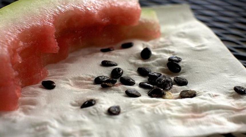 Karpuz &ccedil;ekirdeğini ayıklayın ama sakın atmayın: &Ccedil;&uuml;nk&uuml; t&uuml;m faydaları onda saklı