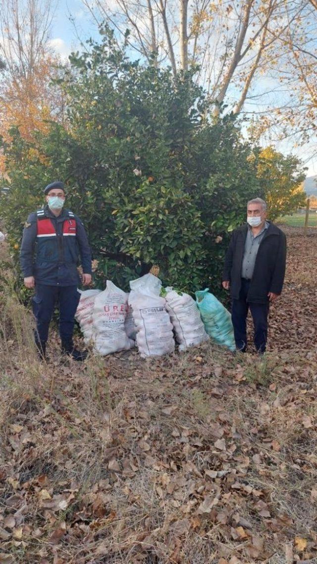 Portakal hırsızlarına jandarmadan suçüstü