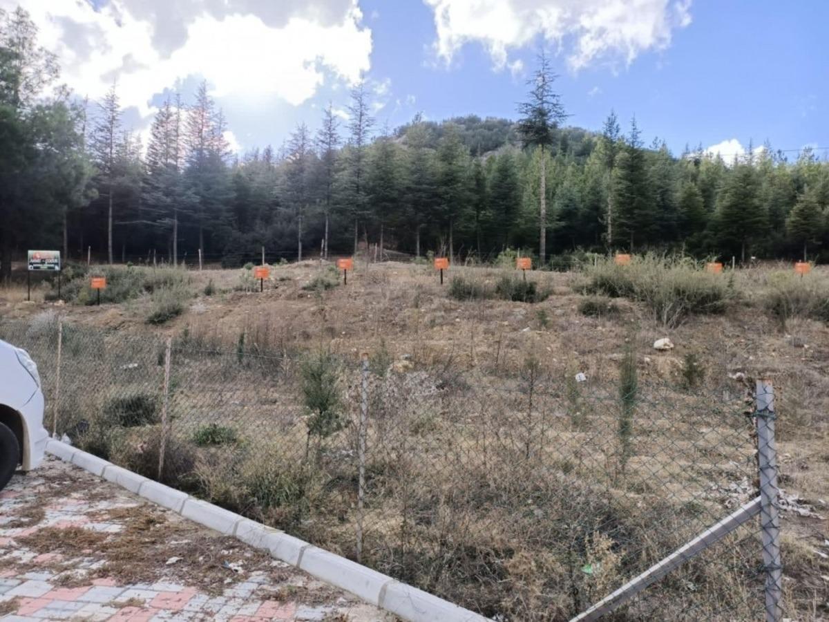 Bucak&rsquo;ta Anne ve &Ccedil;ocuklarına &Ouml;zel Hatıra Ormanı Oluşturuldu