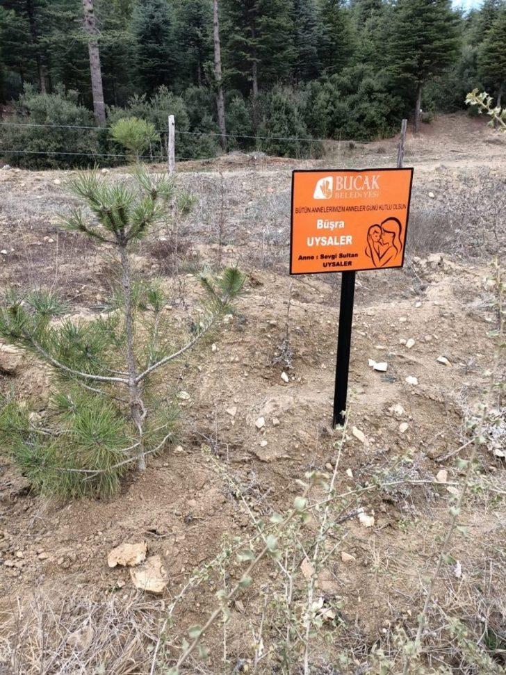 Bucak’ta Anne ve Çocuklarına Özel Hatıra Ormanı Oluşturuldu G2