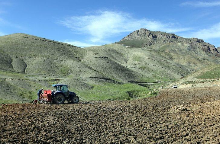 Van Büyükşehir Belediyesiyle 2020 tarımsal kalkınma yılı oldu G4