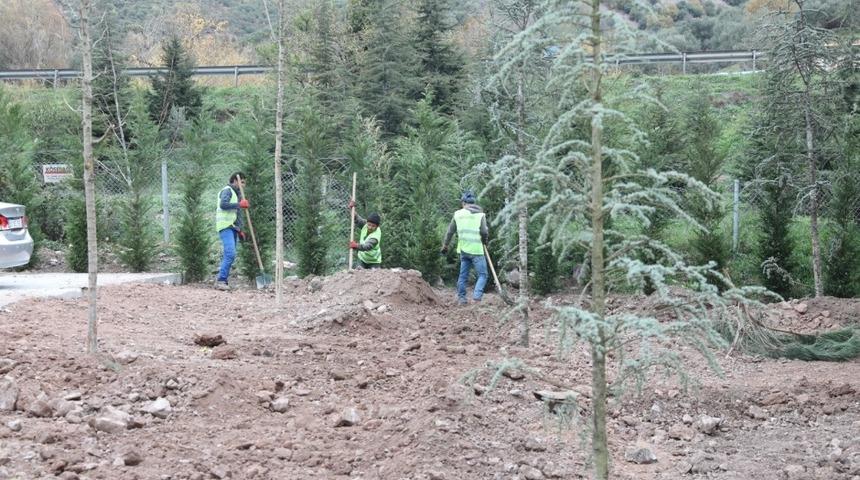 Körfez’de yeşil alanlar arttırılıyor