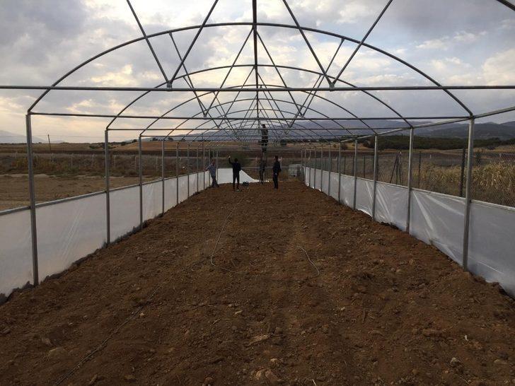 Bingöl’de 3 köyde sera kuruldu G1