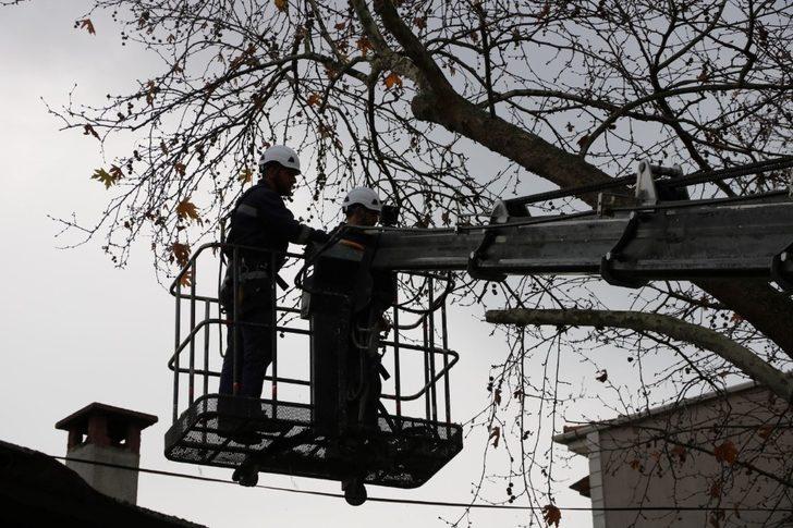 Yaya ve taşıt trafiğini etkileyen dallar budandı G1