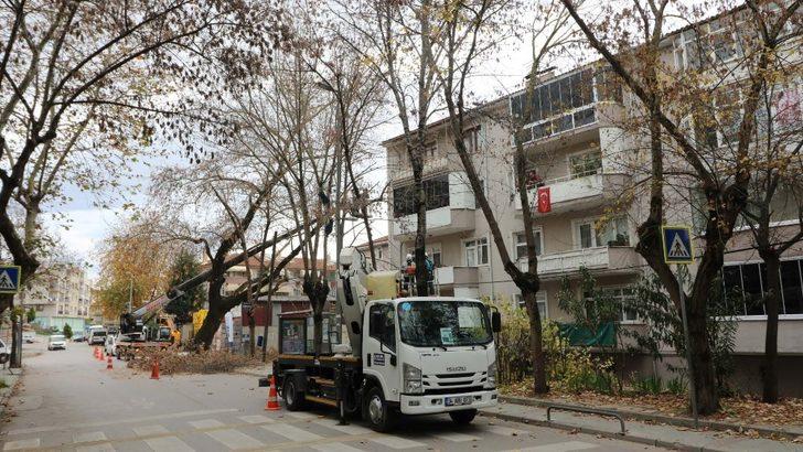 Yaya ve taşıt trafiğini etkileyen dallar budandı G2