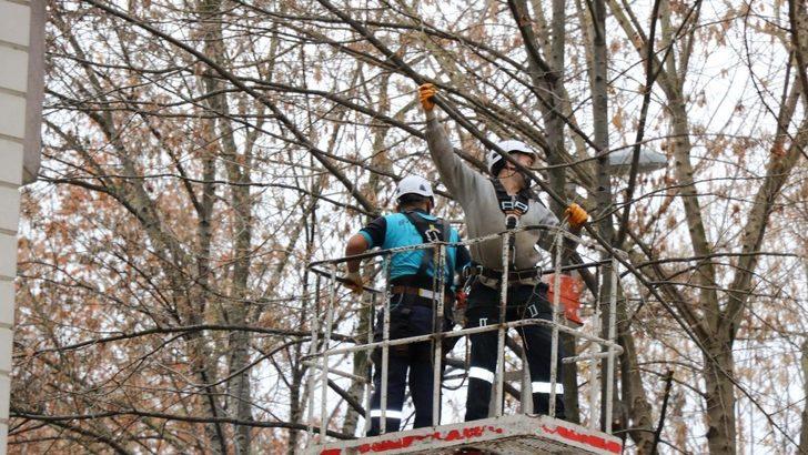 Yaya ve taşıt trafiğini etkileyen dallar budandı G3