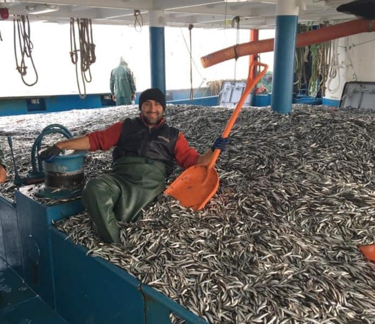 Hamsi bereketi balık&ccedil;ının y&uuml;z&uuml;n&uuml; g&uuml;ld&uuml;rd&uuml;