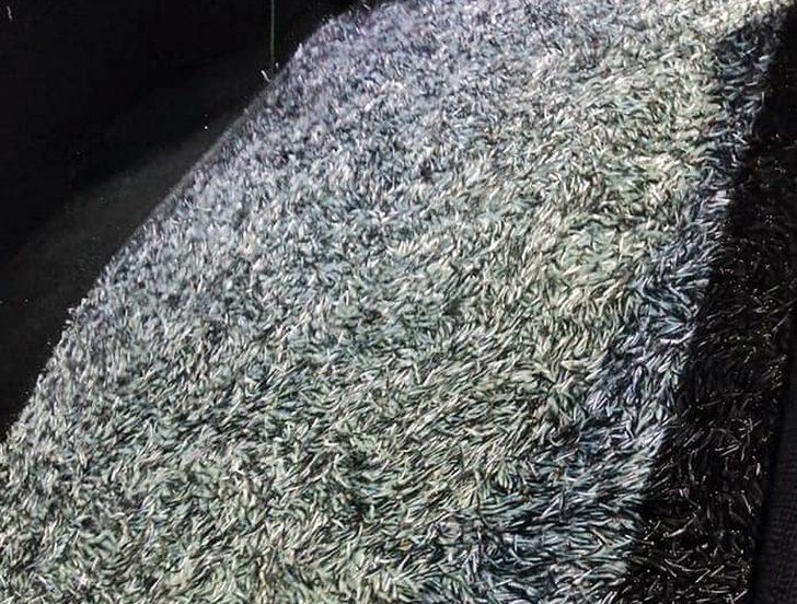 Hamsi bereketi balıkçının yüzünü güldürdü G2