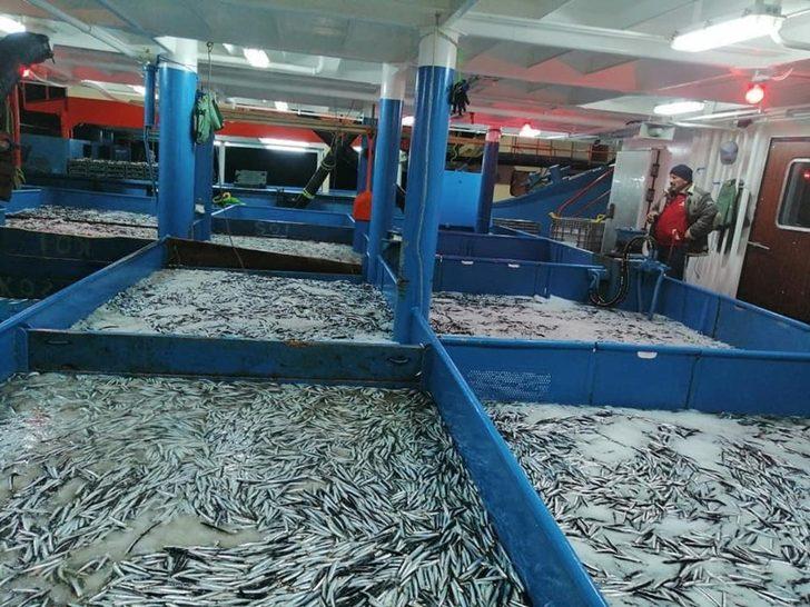 Hamsi bereketi balıkçının yüzünü güldürdü G3