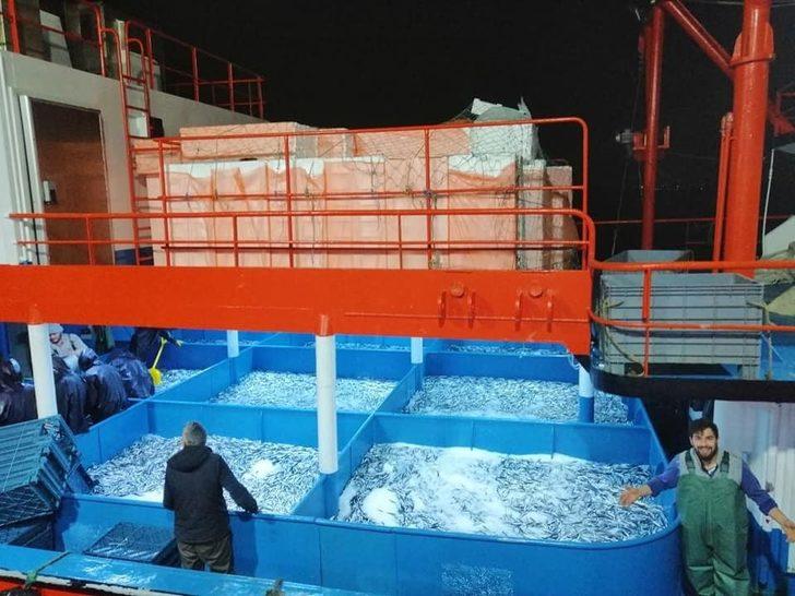 Hamsi bereketi balıkçının yüzünü güldürdü G4