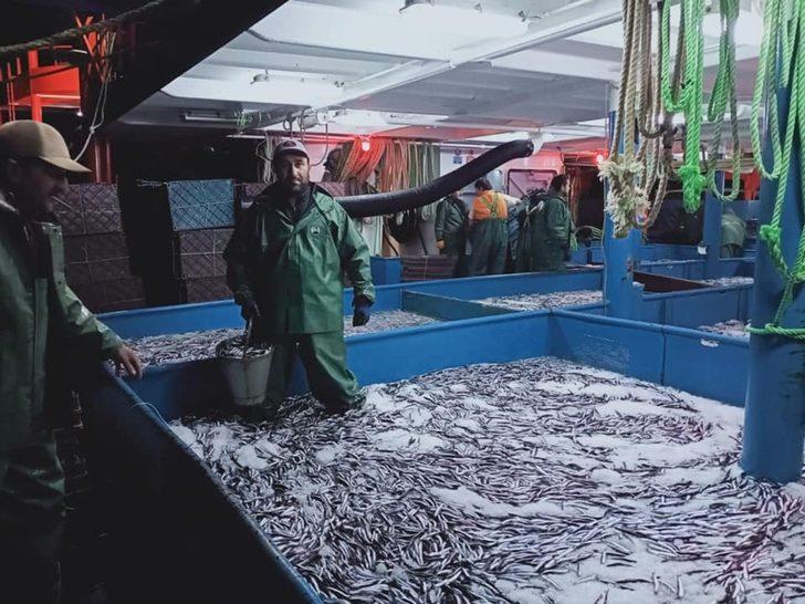 Hamsi bereketi balıkçının yüzünü güldürdü G5