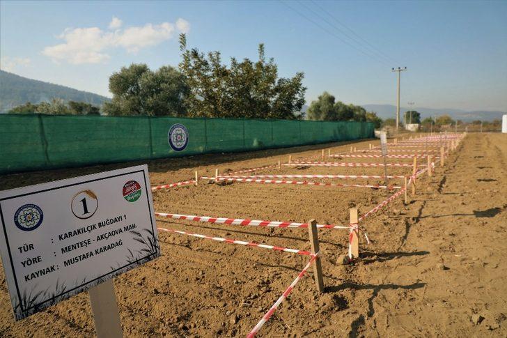 Türkiye’de ilk olacak G2