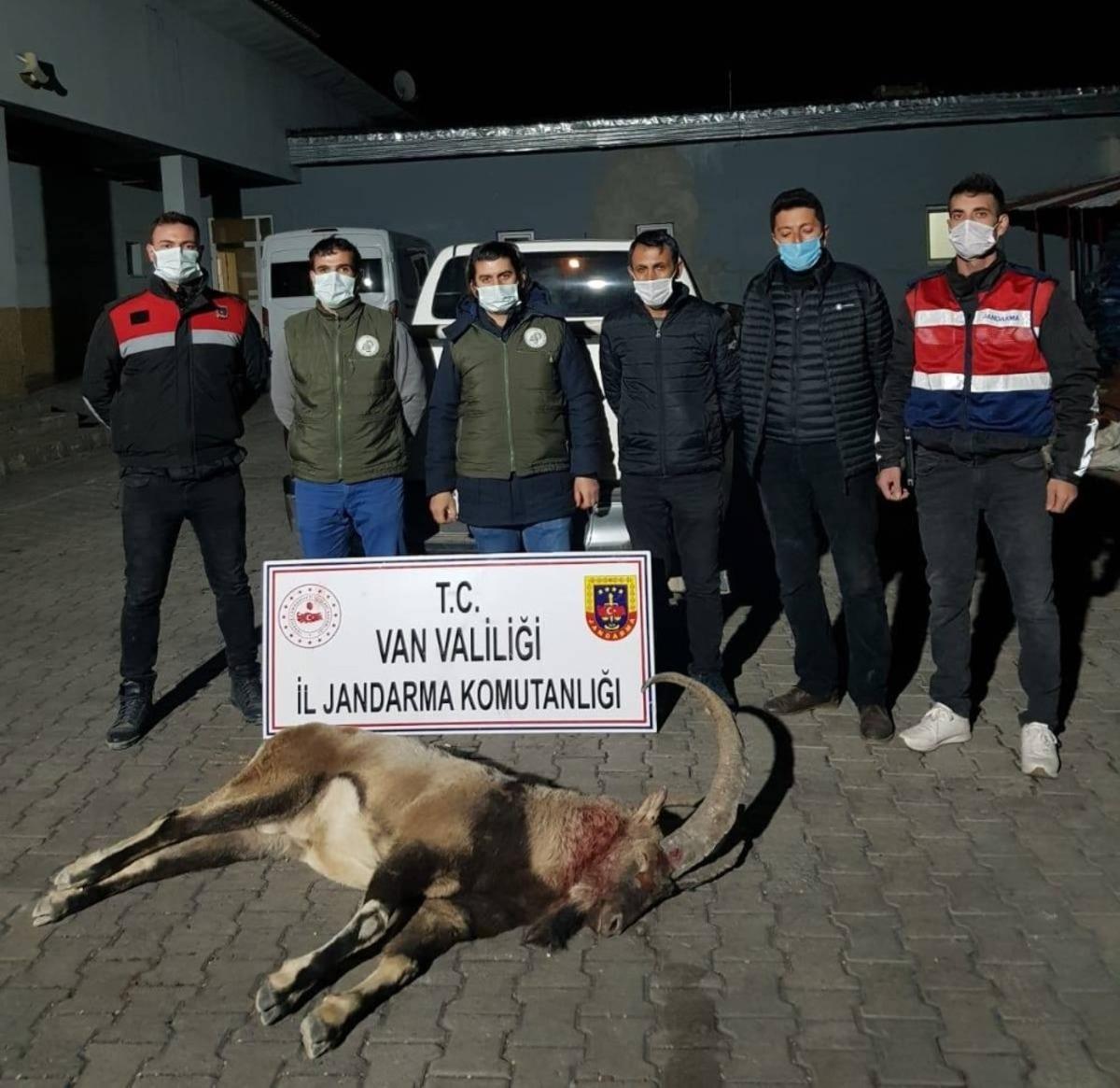 Yaban ke&ccedil;isi avlayan 4 kişiye 36 bin 589 lira ceza