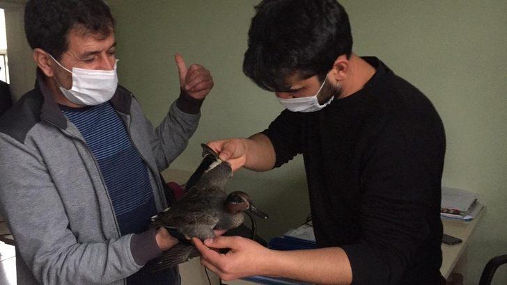Bulduğu yaralı yaban ördeği sahiplendi G2