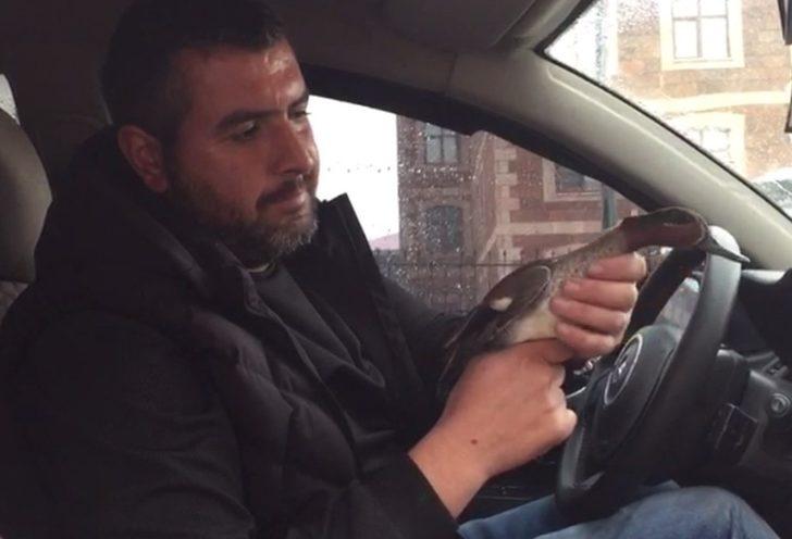 Bulduğu yaralı yaban ördeği sahiplendi G3