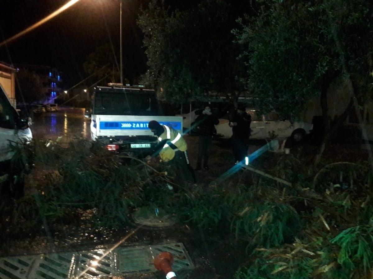 Didim&rsquo;deki parklarda temizlik &ccedil;alışmaları devam ediyor