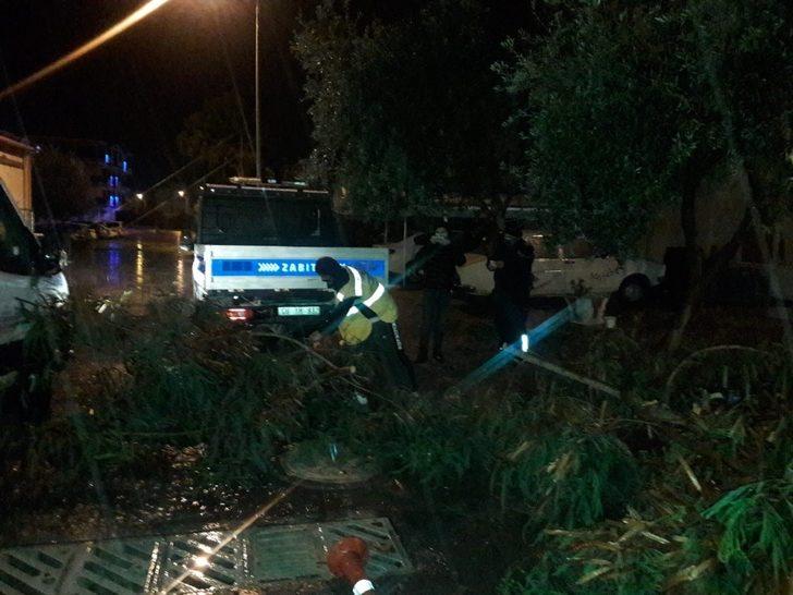 Didim’deki parklarda temizlik çalışmaları devam ediyor G1