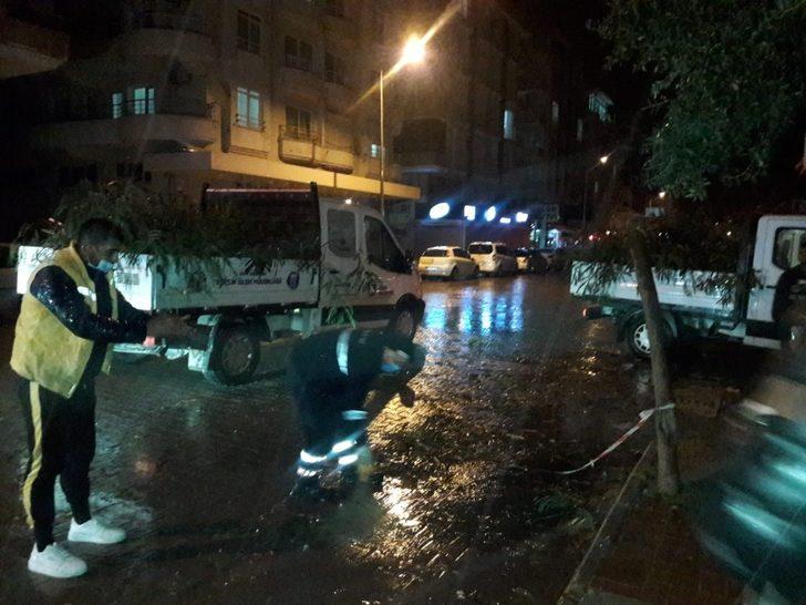 Didim’deki parklarda temizlik çalışmaları devam ediyor G2