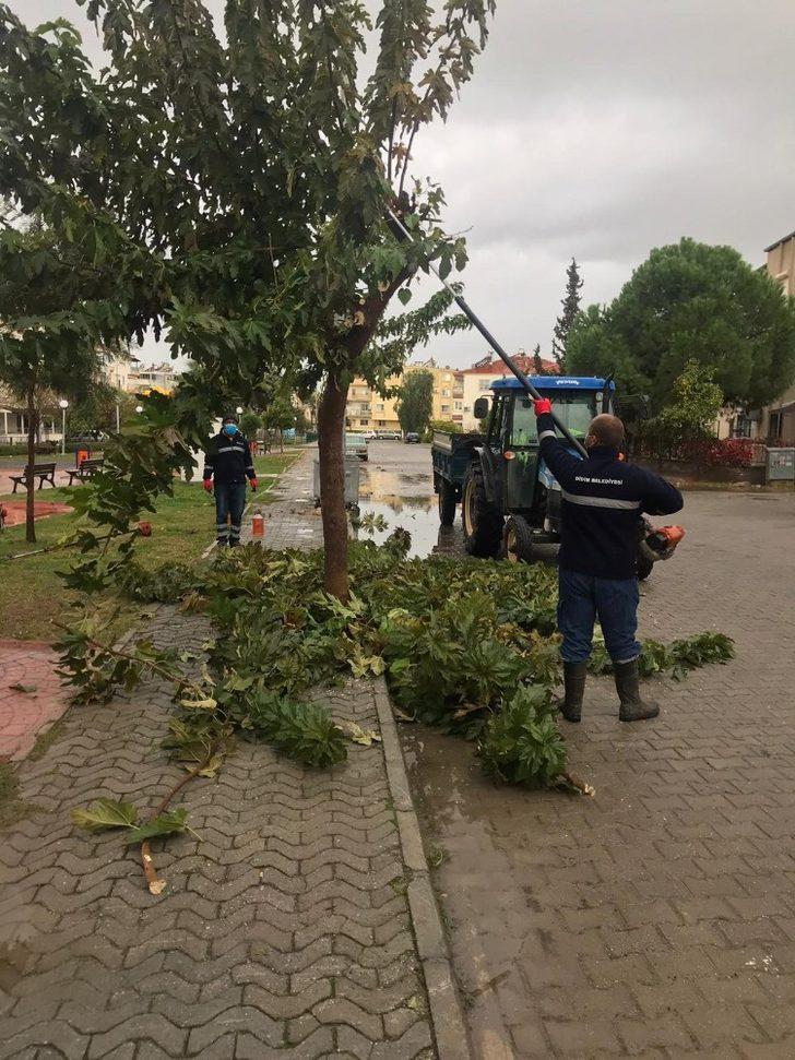 Didim’deki parklarda temizlik çalışmaları devam ediyor G4