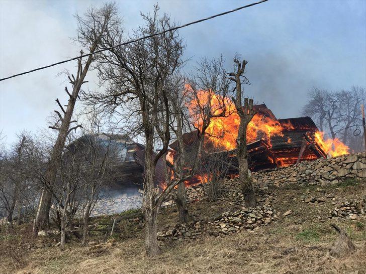 GÜNCELLEME 3 - Rize'de Gölyayla köyünde çıkan yangın kontrol altına alındı G5