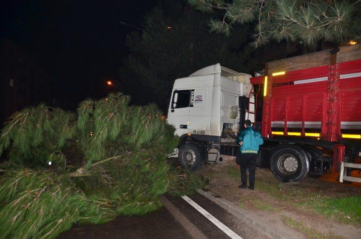 Samsun’da tır ağaca çarptı: 1 yaralı G4
