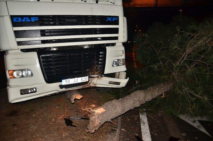 Samsun’da tır ağaca çarptı: 1 yaralı G5