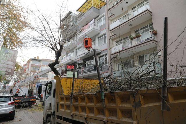 İzmit&rsquo;te budama &ccedil;alışmaları devam ediyor 1