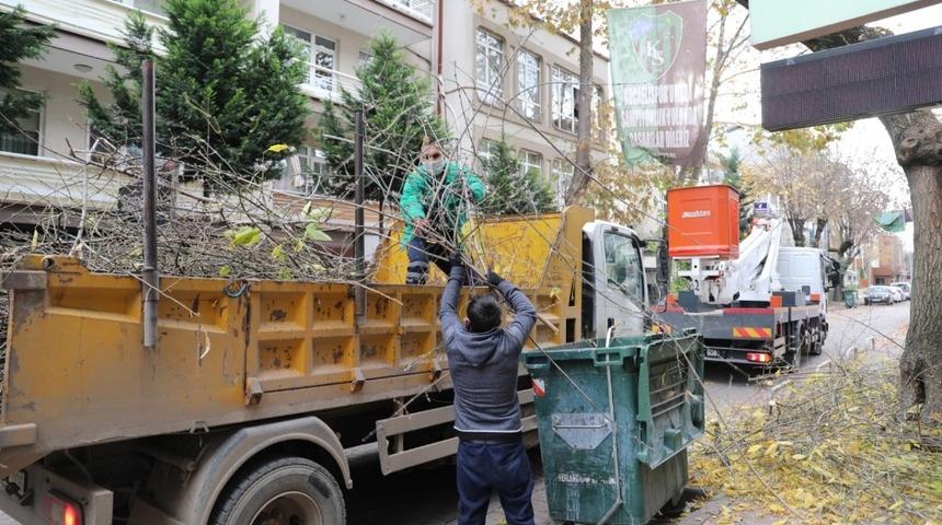 İzmit&rsquo;te budama &ccedil;alışmaları devam ediyor