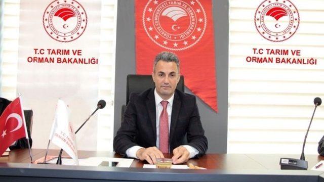 2020 yılı hayvancılık desteklemeleri belli oldu