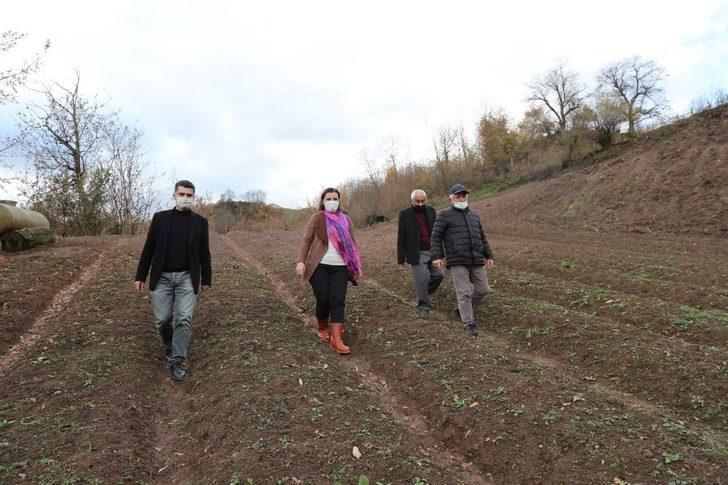 İzmit’te salep ve ekinezya üretimi için inceleme yapıldı G1