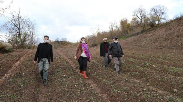 İzmit’te salep ve ekinezya üretimi için inceleme yapıldı