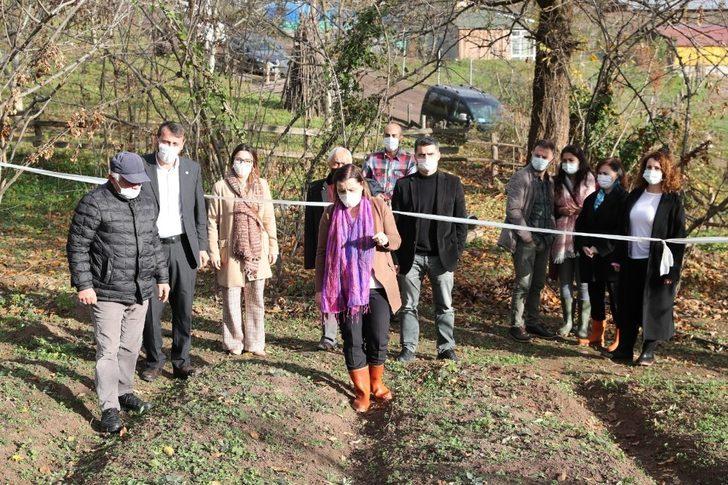 İzmit’te salep ve ekinezya üretimi için inceleme yapıldı G3