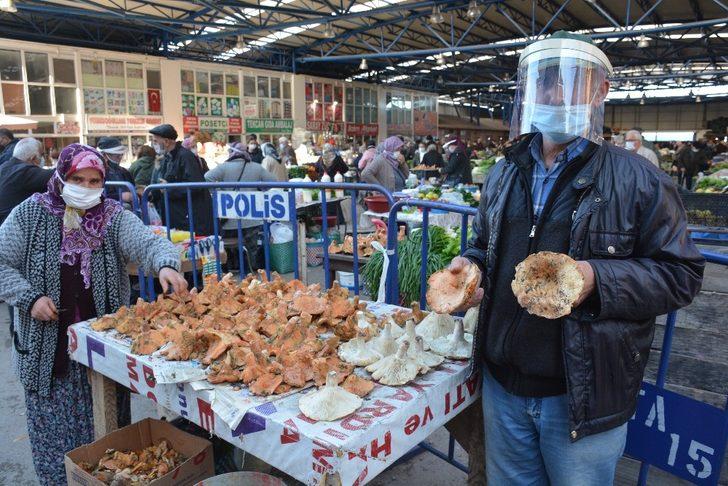 Sinop’ta kanlıca pazara indi G2