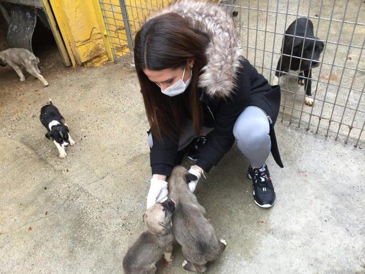 Sahipsiz hayvanlara mama desteği sürüyor G1