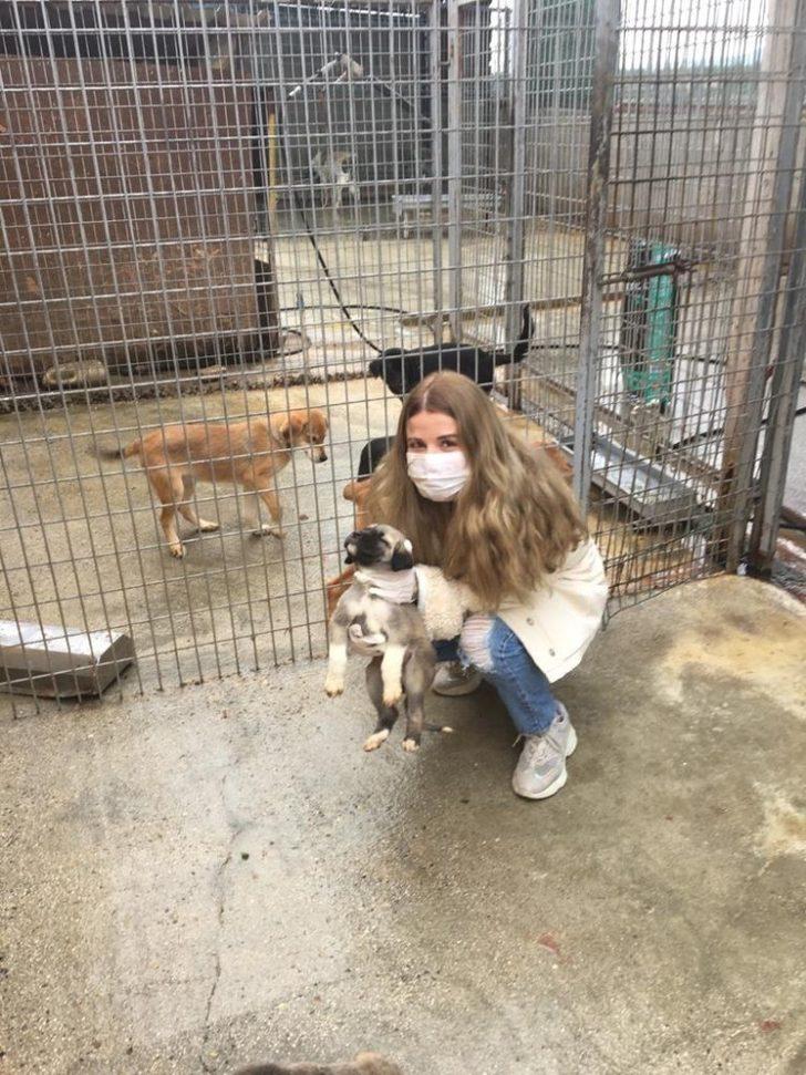 Sahipsiz hayvanlara mama desteği sürüyor G3