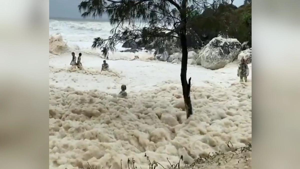 İnanılmaz g&ouml;r&uuml;nt&uuml;ler! Sahil deniz k&ouml;p&uuml;ğ&uuml;yle kaplandı
