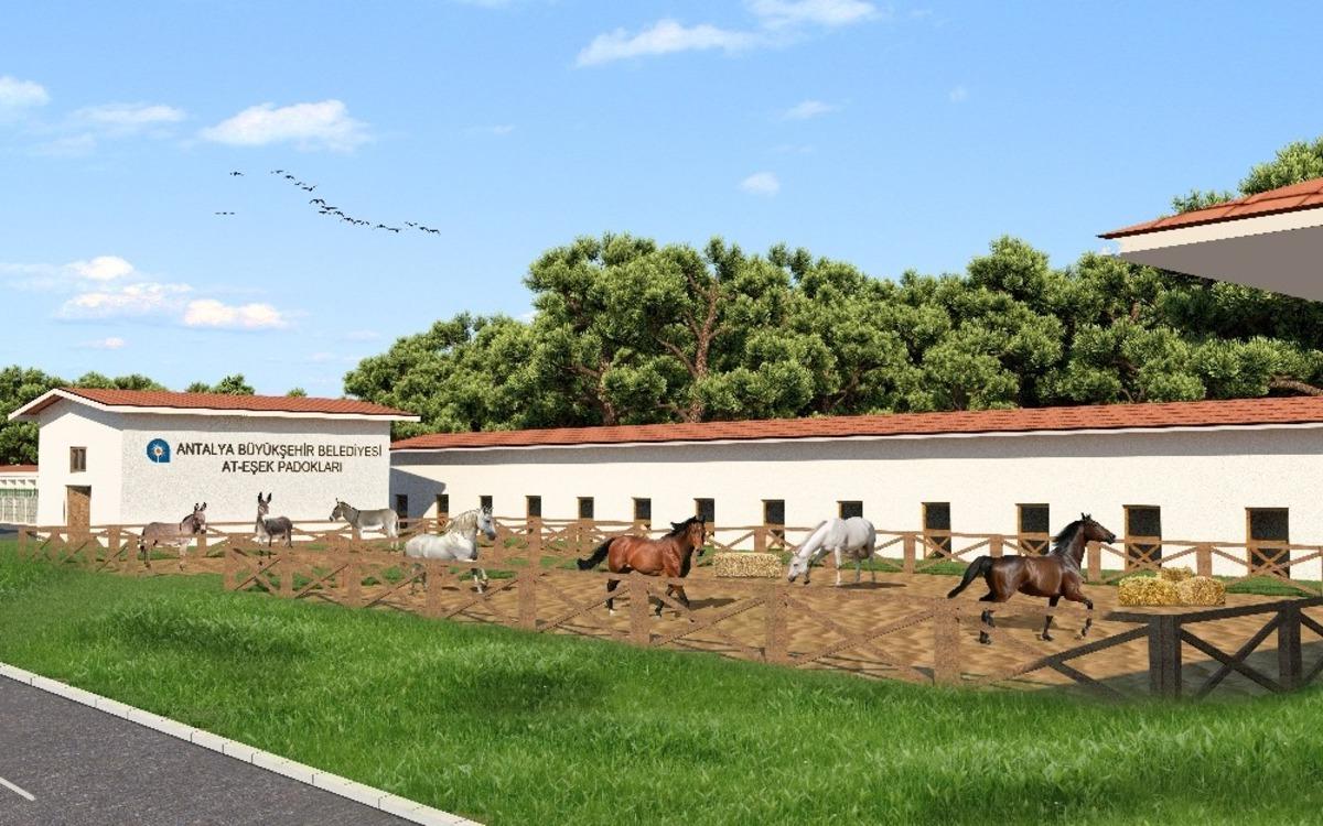 T&uuml;rkiye&rsquo;ye &ouml;rnek proje şekillenmeye başladı